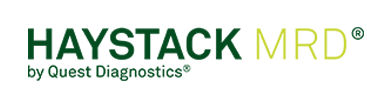 Haystack Sponsor Logo
